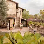 Tre Esse Assisi
