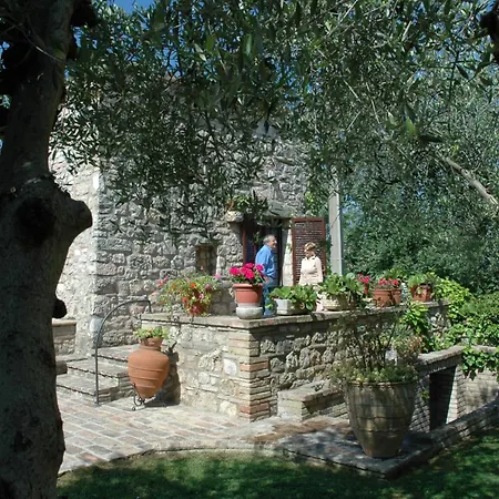Tre Esse Assisi