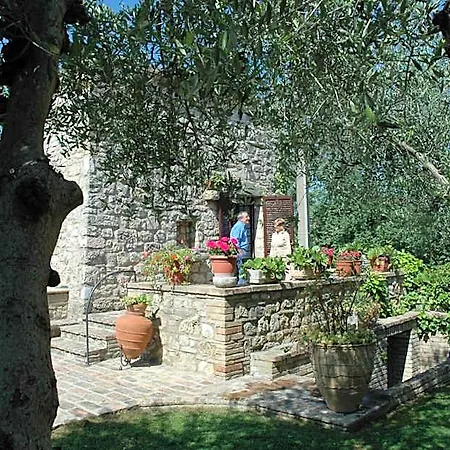 Tre Esse Assisi