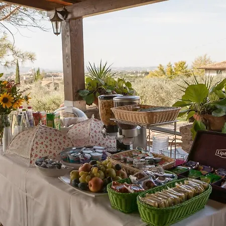 Tre Esse Ассизи